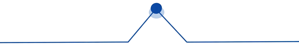 A flat line with one peak marked by a dot
